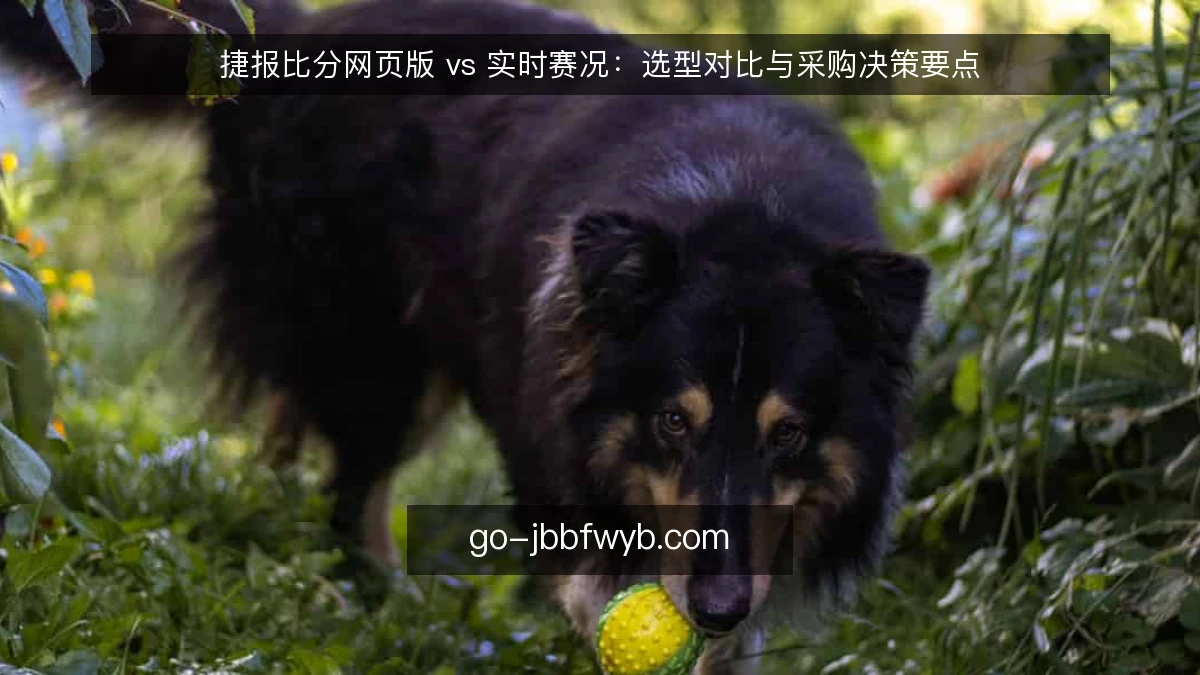 捷报比分网页版 vs 实时赛况：选型对比与采购决策要点